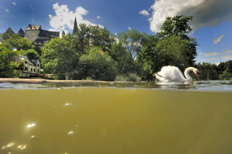 Drunter und drber - Flussfotos aus der Lahn