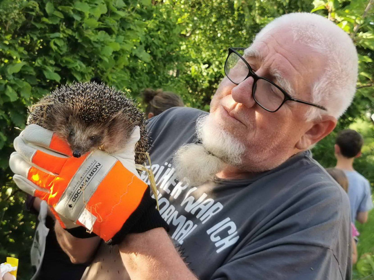 Igel in Freiheit: Rettungsaktion des BUND und NABU begeistert Hundsangen