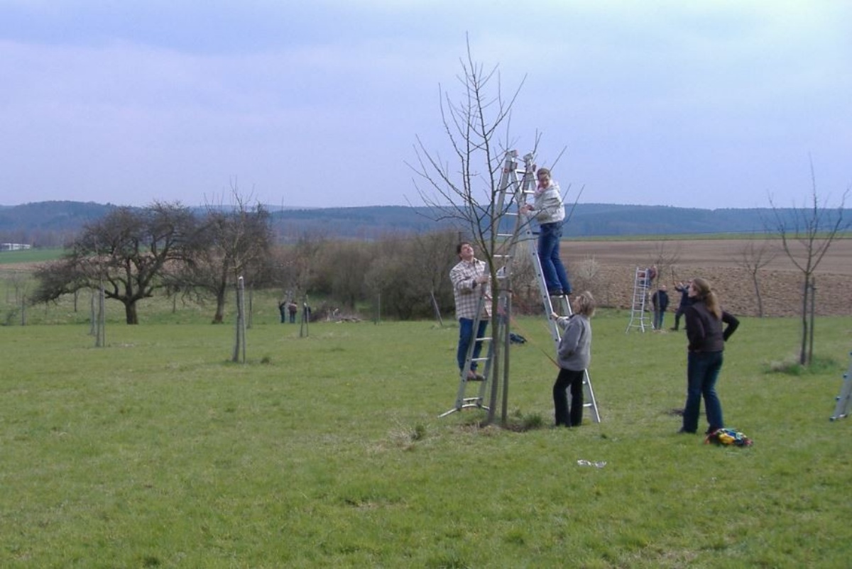 Fr�hjahrs-Schnittkurs (Foto: Unteren Naturschutzbeh�rde Kreis Altenkirchen)