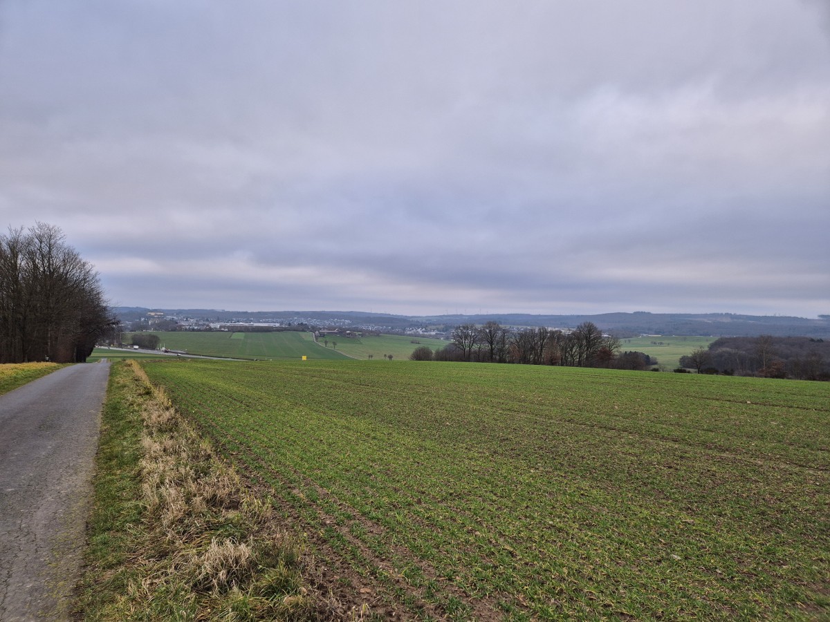 Kommunalfl�che in M�schenbach (Foto: Julia Sch�fer)