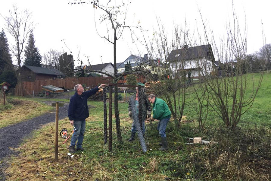 Biotop-Pflege am Himmelsteich in Rscheid durchgefhrt