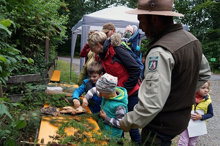 ExpertInnen von der Uni Siegen und von Naturschutzorganisationen standen den BesucherInnen an den Stationen Rede und Antwort. Im Mittelpunkt standen jeweils unterschiedliche Themen
- wie hier die verschiedenen Baumarten. (Foto: Uni Siegen)