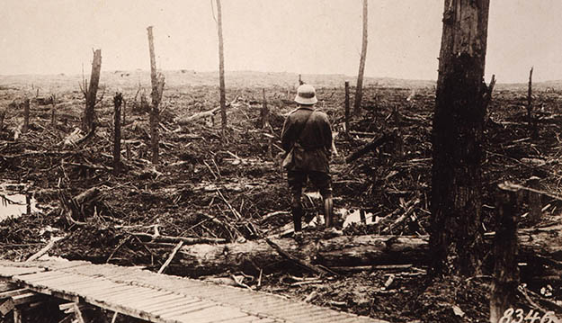 Blaue Blumen erinnern an 59 Kriegstote im Ersten Weltkrieg