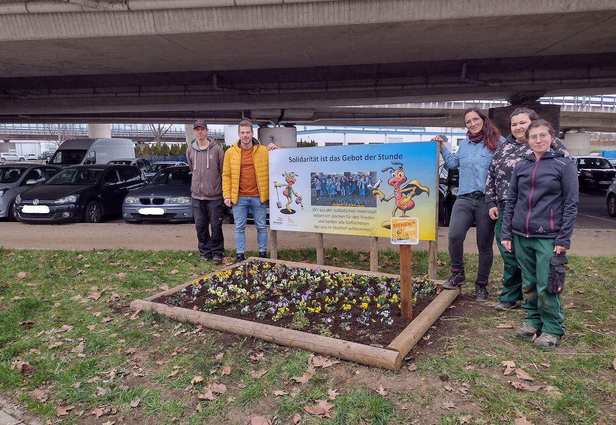 Das Beet in der sdstlichen Innenstadt blht wieder auf. (Foto: Jan Buchheim)