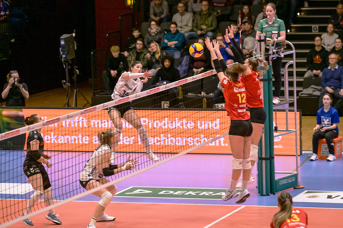 Deichstadtvolleys fahren zum Derby nach Wiesbaden 