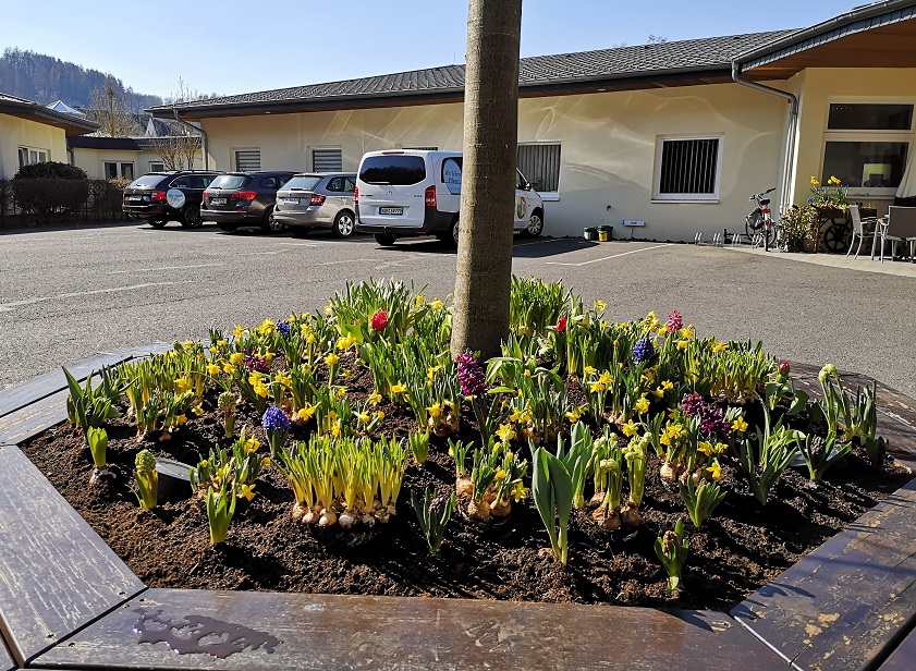 Bewohner im Seniorendorf Stegelchen in Frhlingsstimmung