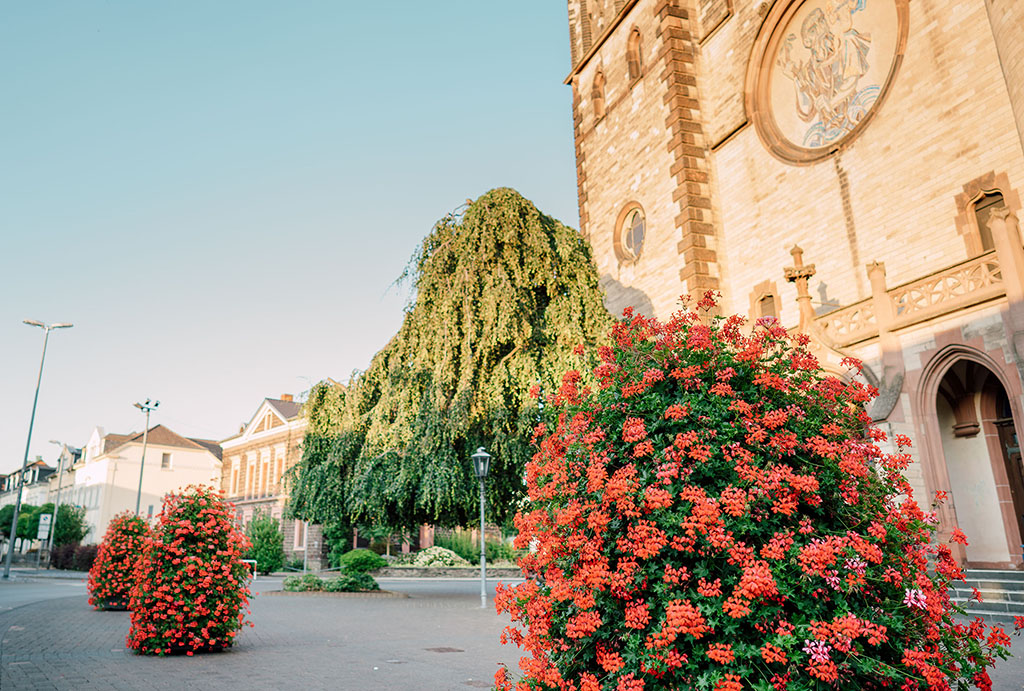 Blumenpracht verschnert Innenstadt und gefllt den Bienen 