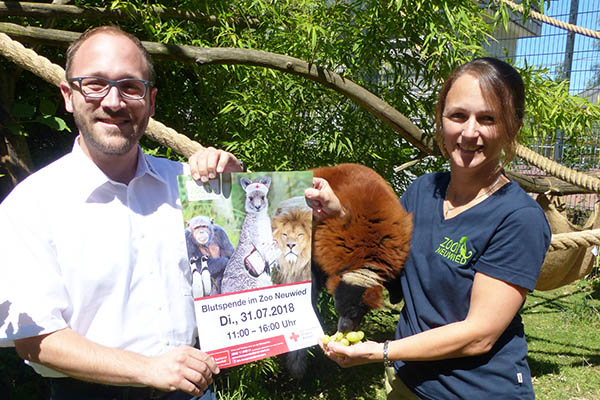 Zoo Neuwied: Die tierischste Blutspende des Jahres