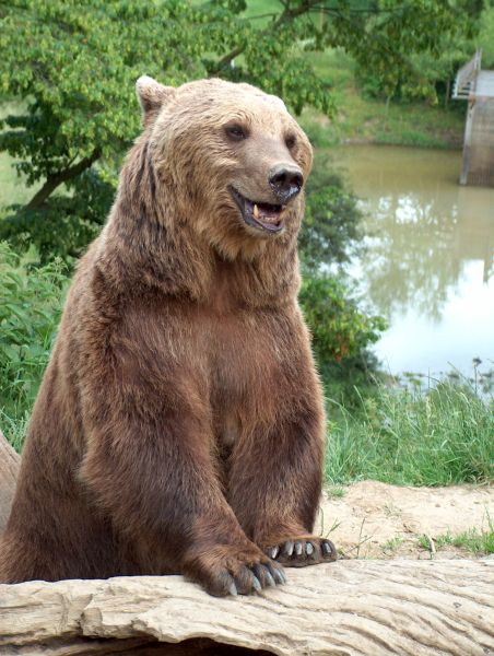 Saisonauftakt im Wildfreizeitpark Westerwald