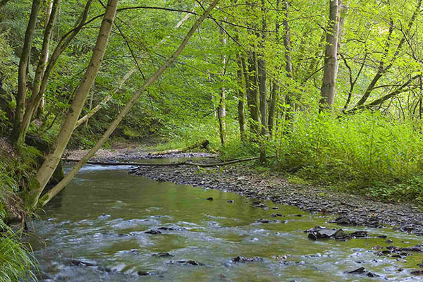 Frhlingswandern in Bendorf am 29. und 30. April