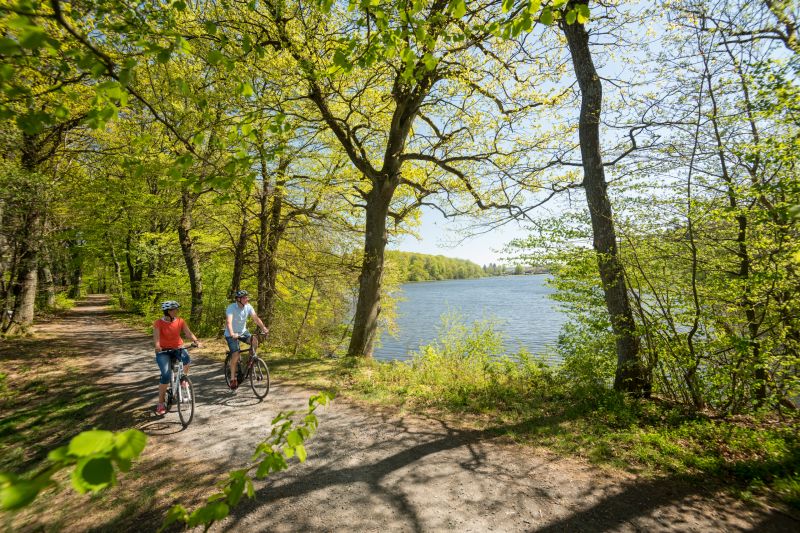 Viel erleben auf dem Radrundweg Seenplatte (I)