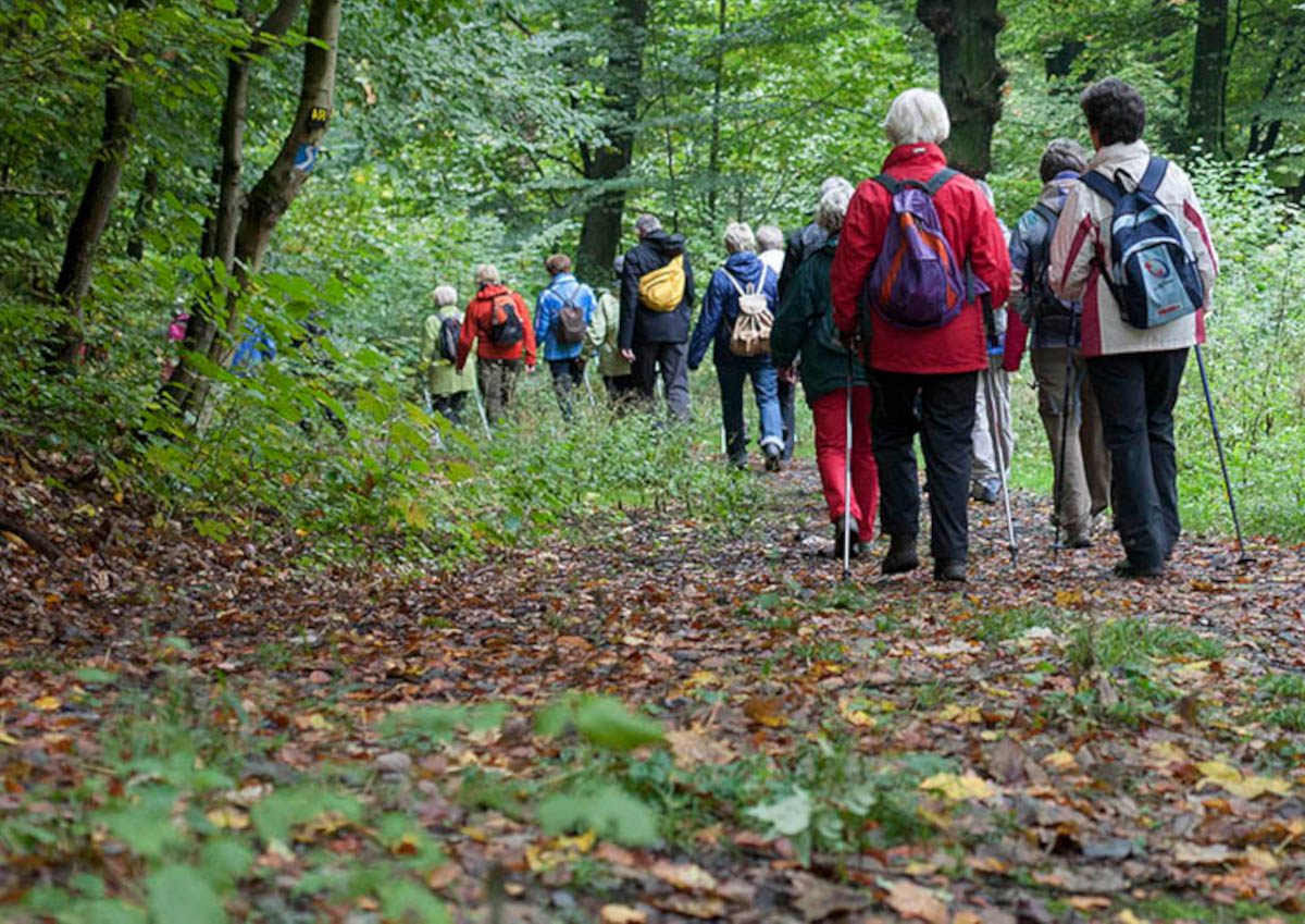 Westerwaldverein Buchfinkenland ldt ein: Wanderung auf dem Waldschluchtenweg