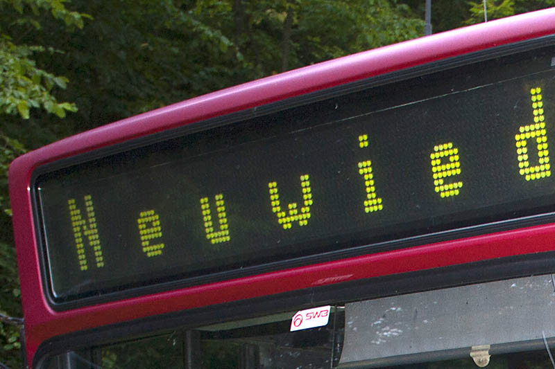 Eisbren wollen Fanbus fr Pokalhalbfinale einsetzen