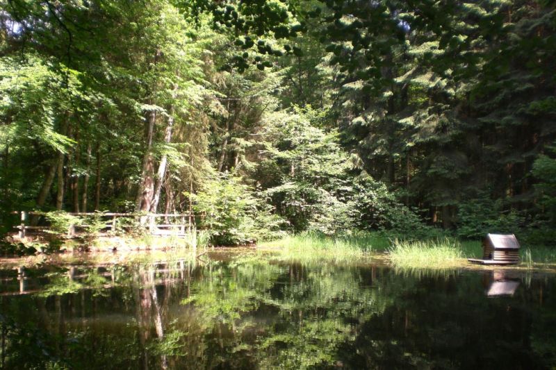 Kostenfreie gefhrte Wanderung nach Hilgert 