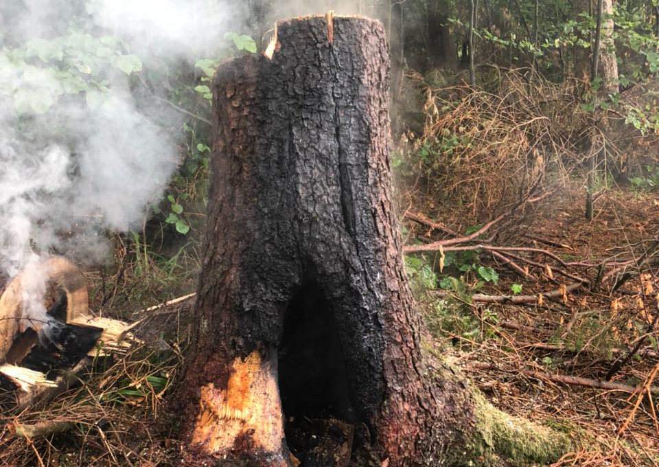 Dieser Baumstamm konnte gerade noch gelscht werden. (Foto: Gemeinde Caan)