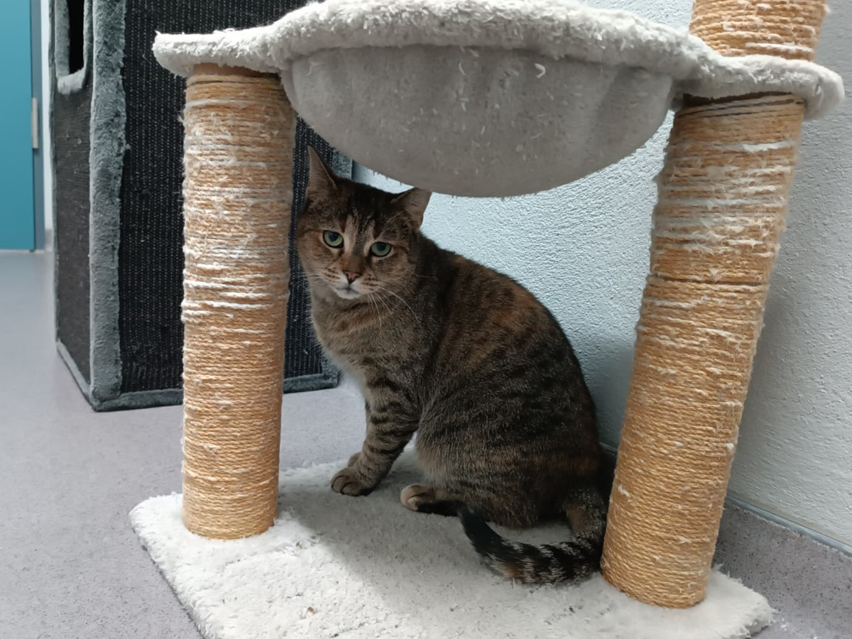 Ein Logenplatz f�r die Seele: Chantal sucht Herzensmenschen mit Gesp�r