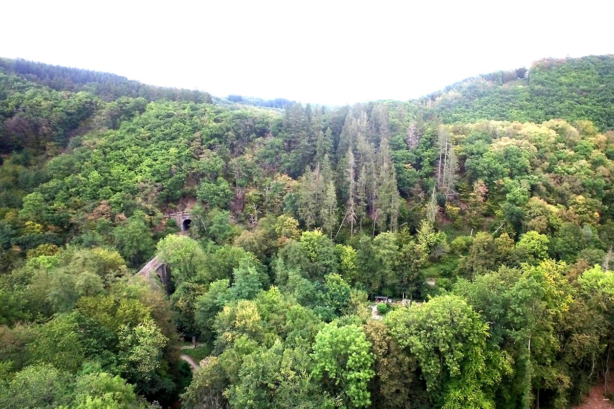 Bendorf erhlt PEFC-Zertifikat fr nachhaltige Waldbewirtschaftung