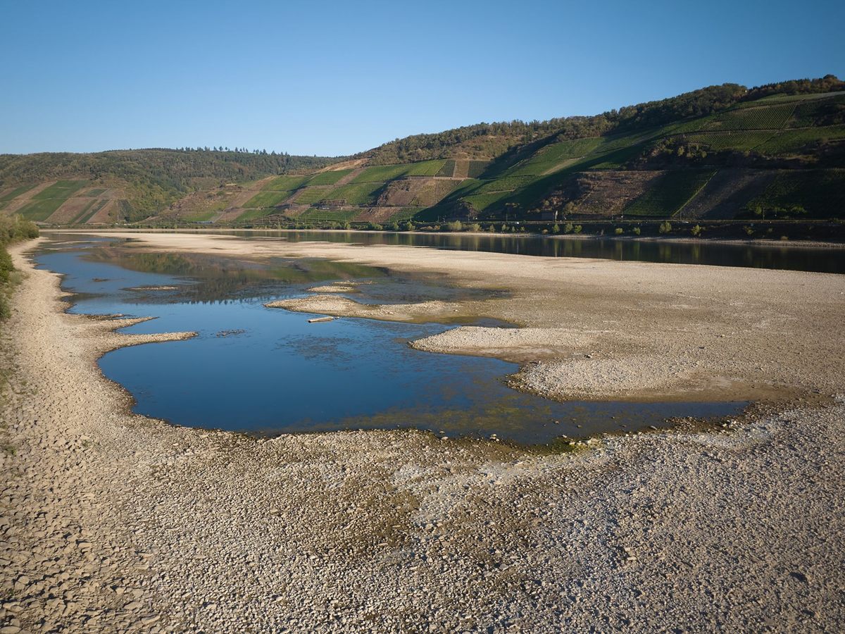 Niedrigwasser im Rhein: Bauherren in Rheinland-Pfalz vor Herausforderungen