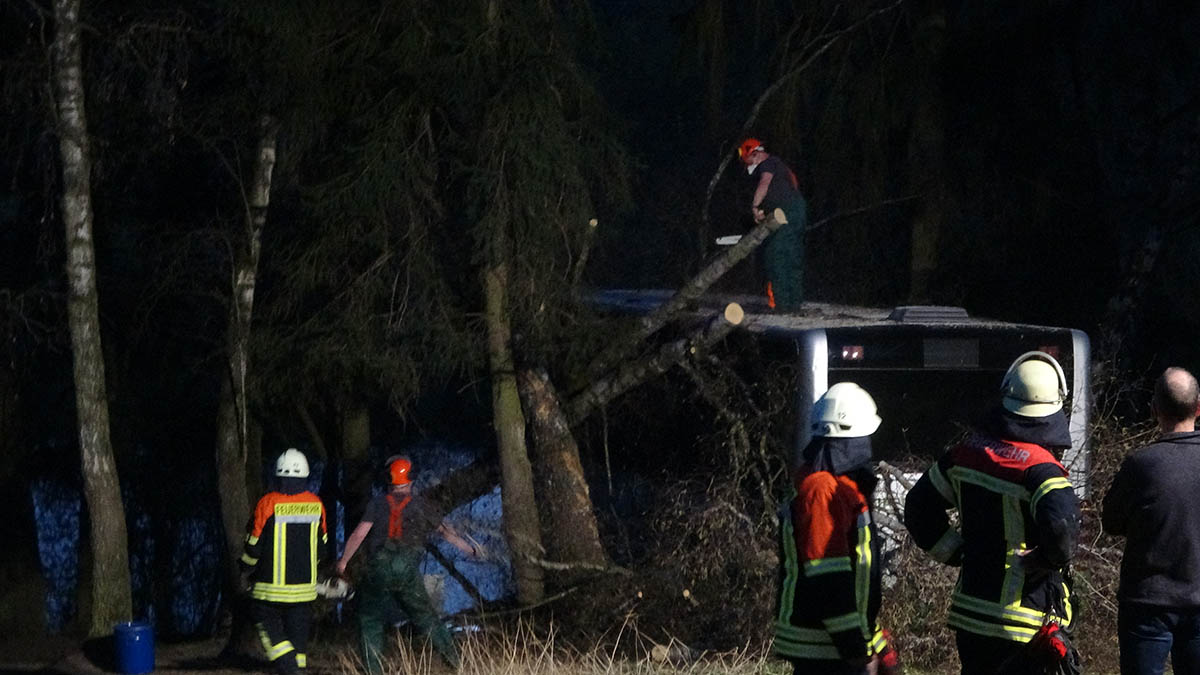 Fhrerloser Bus ttet zwei Pferde auf Weide