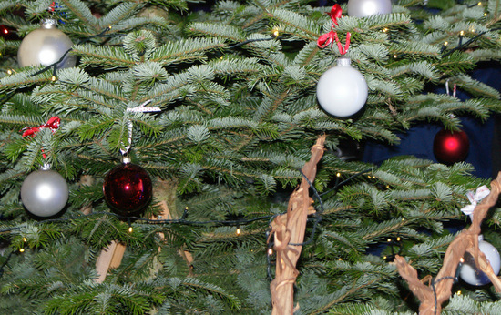 Abfuhr der Weihnachtsbume: Wichtig ist, dass die Bume vollstndig abgeschmckt sind und insbesondere keine Lametta-Reste mehr aufweisen. (Foto: AK-Kurier) 