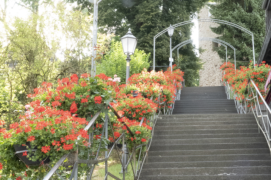 Paten kmmerten sich vorbildlich um Blumenschmuck in Waldbreitbach 