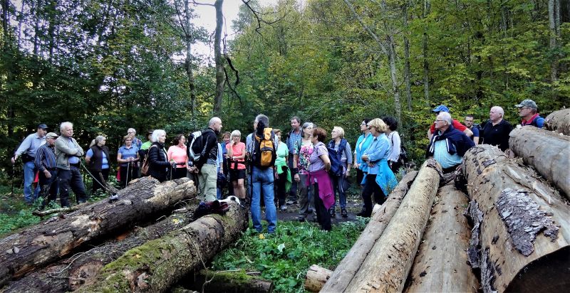 Naturerkundungen und Wanderungen  auch fr Kinder - im heimischen Buchfinkenland stehen beim dortigen Westerwald-Verein immer auf dem Programm. Foto: privat