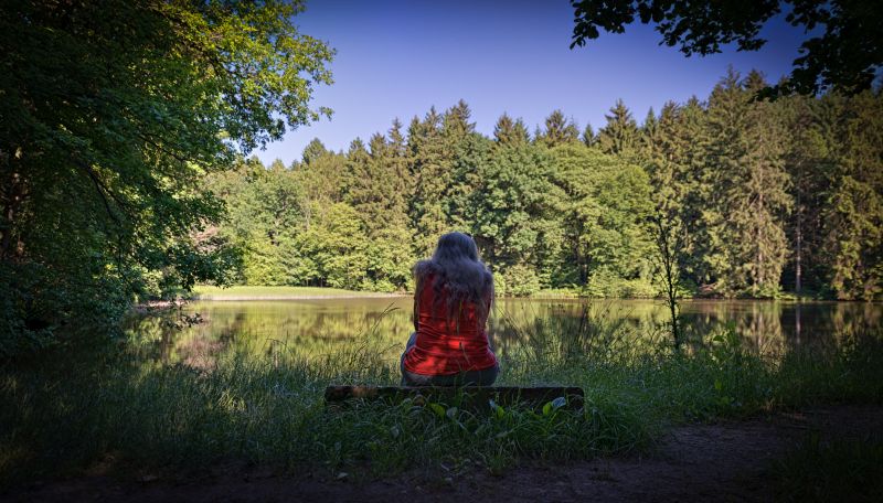 Wanderung durch die Brexbach-Auen zu den Landshuber Weihern