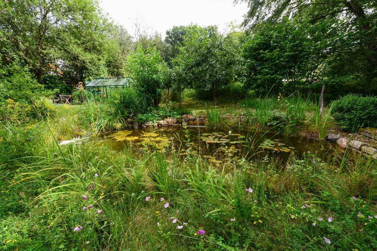 (Foto: Gabriele Neumann/NI, Gartenteich im Naturgarten der NI)