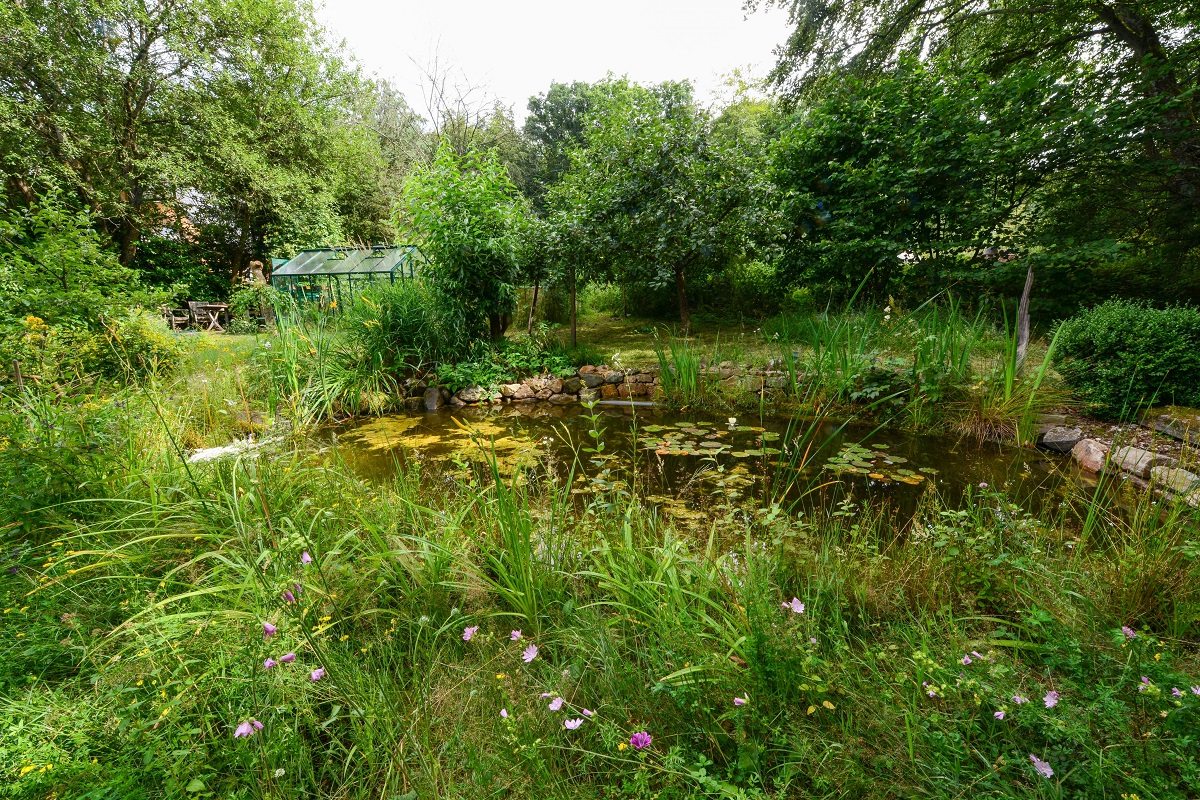 (Foto: Gabriele Neumann/NI, Gartenteich im Naturgarten der NI)