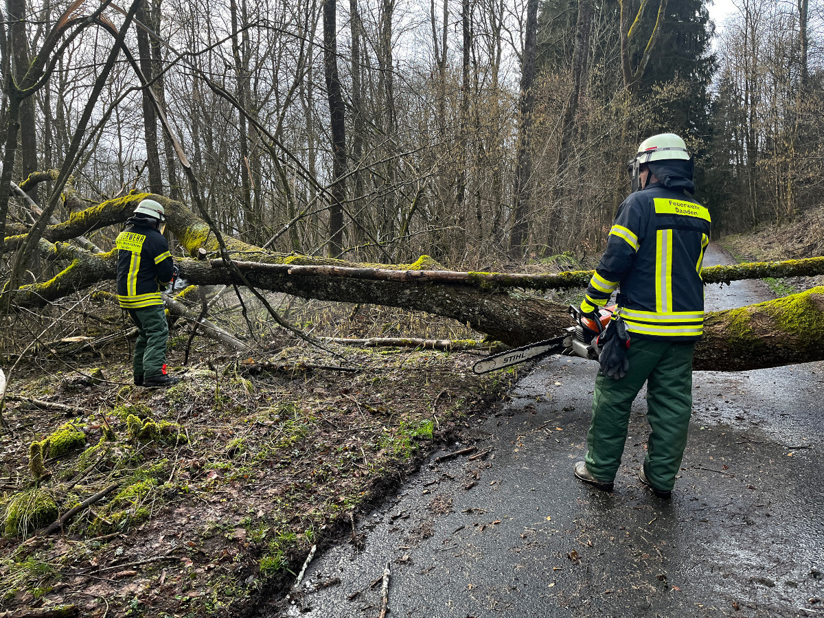 Die Feuerwehren der VG Daaden-Herdorf mussten in Sturmnacht vor allem umgestrzte Bume beseitigen. (Fotos: Feuerwehr Daaden-Herdorf)