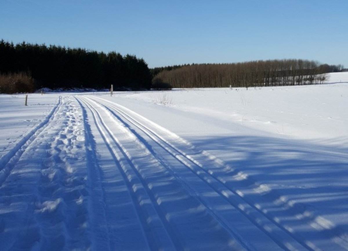 Jetzt fehlt nur noch der Schnee: Langlauf am Stegskopf soll wieder mglich sein