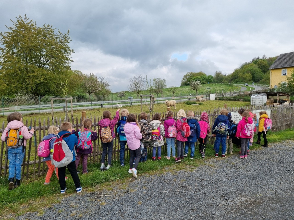 Die Kindergartenkinder aus Steimel verbrachten erlebnisreiche Stunden auf Hof Ronig. (Fotos: Naturpark)