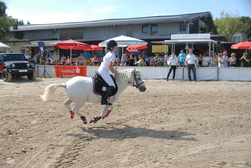 Der Reitverein Dierdorf freut sich auf seinen Reitertag. Foto: Verein