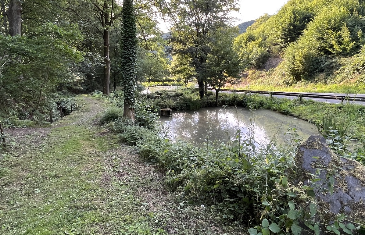 An den "Drei Weiher" (Foto: Pierre Fischer)