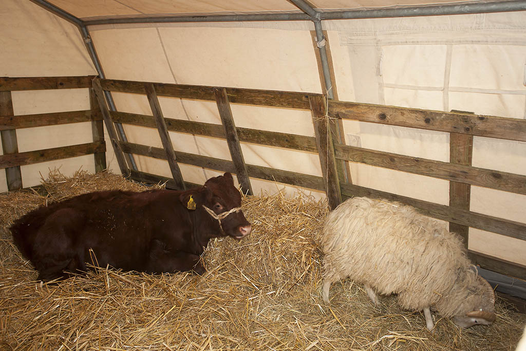 Drrholzer Weihnachtsmarkt lockt am 2. Dezember