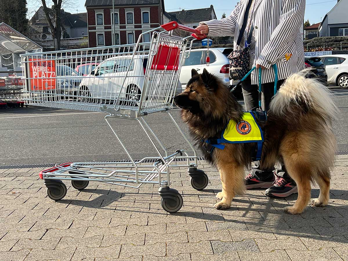 Atrju bei der Untersttzung im Alltag. (Foto: Elke Stockhausen)