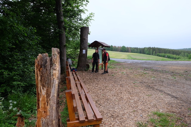 Leider musste eine der drei stattlichen Eichen an der Langen Bank gefllt werden. (Fotos: KathaBe)