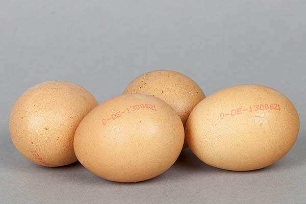 Bei den Eiern immer den Stempelaufdruck kontrollieren. Foto: Wolfgang Tischler