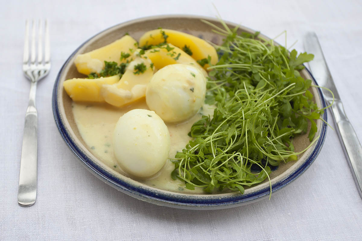 Eier in Senf-Sauce mit Kresse und Salzkartoffeln