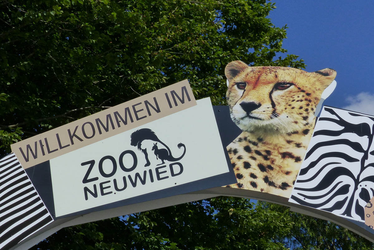 Offener Brief des Zoodirektors Thiel an die Ministerprsidentin