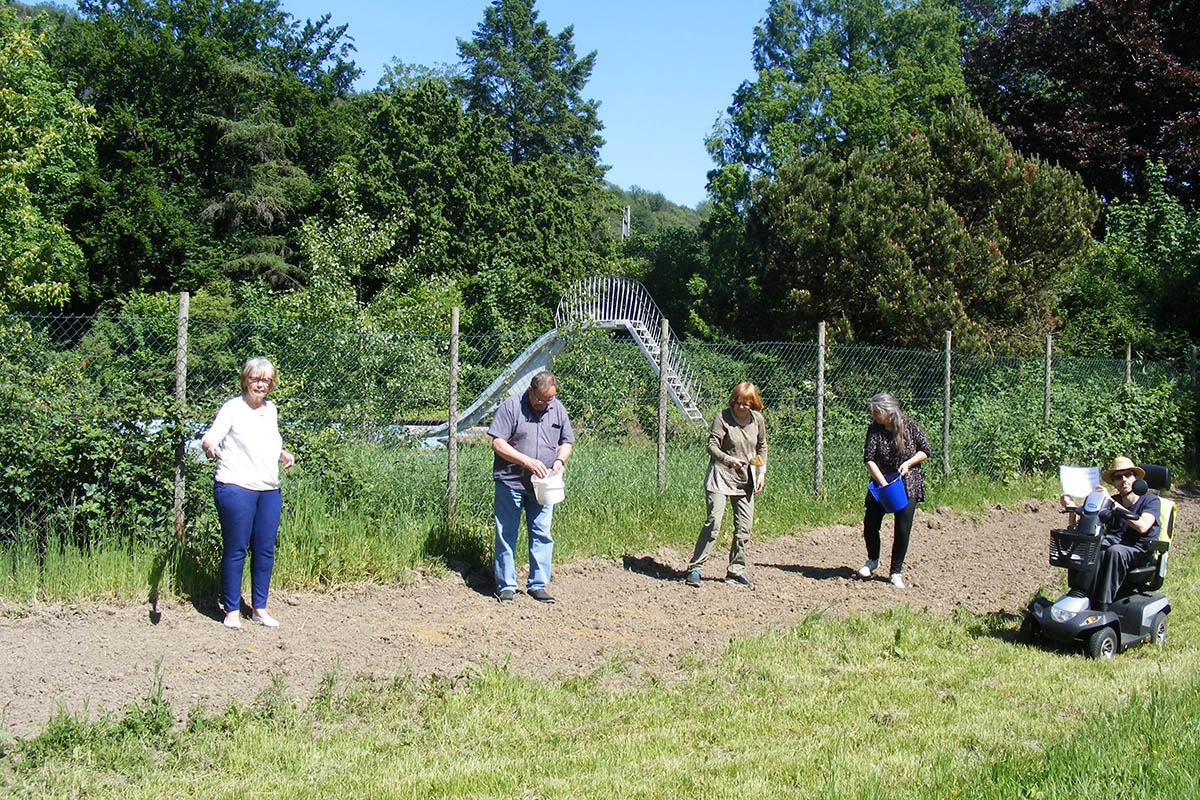 VdK Ortsverband st im Brgerpark Unkel die erste Insektenwiese ein