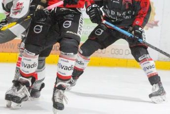 Talent bringt Tordrang mit: EHC holt Herz