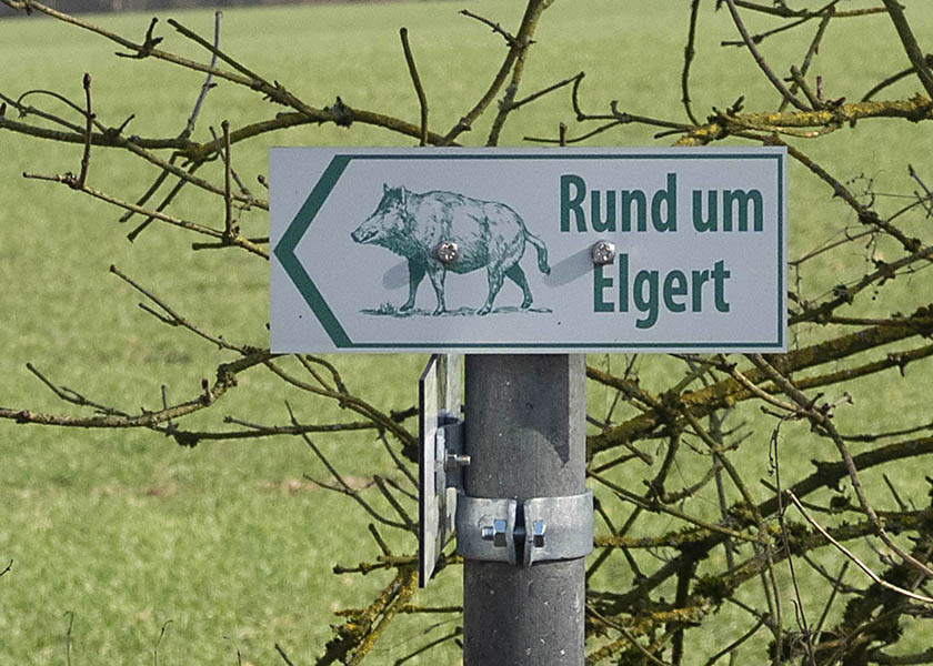 Rundwanderweg um Elgert - abwechslungsreich und angenehm