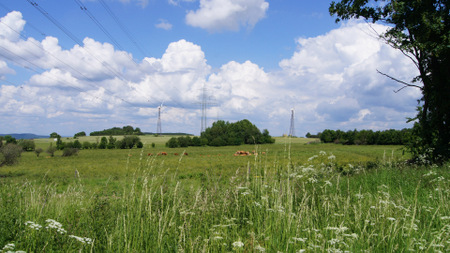 An jedem vierten Samstag in den Sommermonaten ldt die Langenbacher Mann Naturenergie GmbH & Co. KG ab sofort zu Energie-Wandertagen ein. (Foto: Mann Naturenergie GmbH & Co. KG)