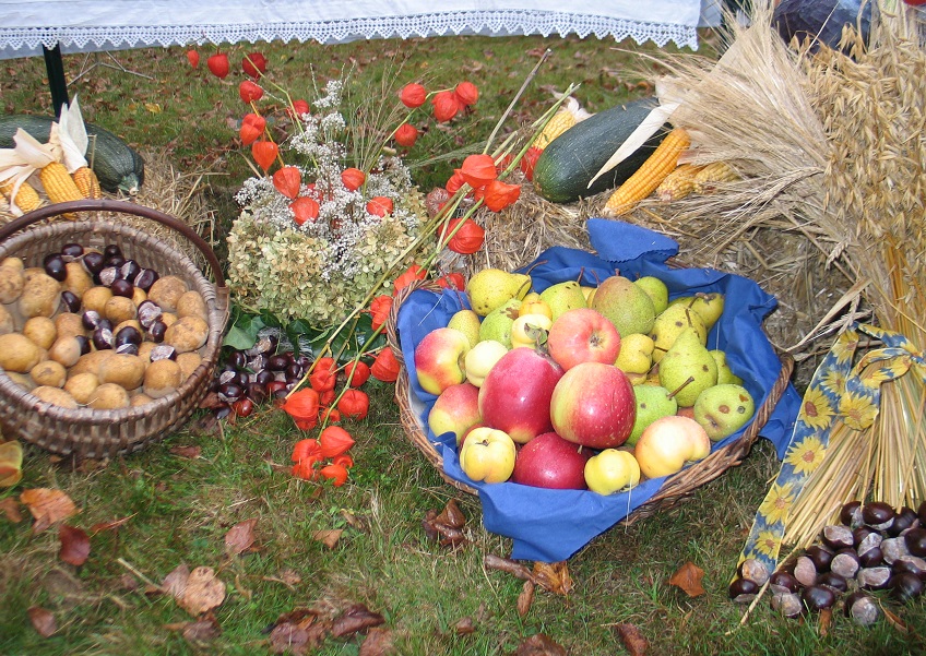 Bunt, frhlich und mit vielen bunten Erntegaben vor und in geschmckte Kirchen: so geht es traditionell am ersten Oktobersonntag  dem Erntedanktag in den Evangelischen Kirchen - zu. In diesem besonderen Jahr passen die Evangelischen Kirchengemeinden ihre Gottesdienste entsprechend an und finden neue Wege um vielfltig Danke zu sagen. (Foto: Archiv/Evangelischer Kirchenkreis Altenkirchen)