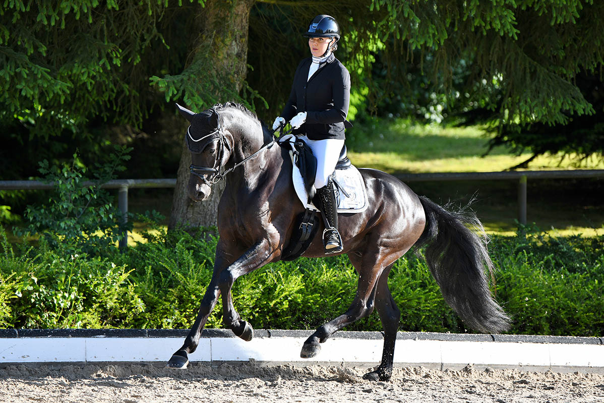 Dressurreiterin Denise Ewenz vom RVK auf ihrem Pferd Frodo von der Mittelerde startet beim viert�gigen Reitevent. Foto: Nina Schmaus