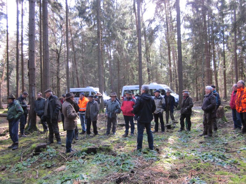 Der Waldbauverein Altenkirchen organisierte eine Exkursion. Foto: Verein