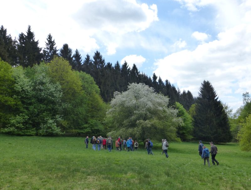 NABU stellt Jahresprogramm vor 