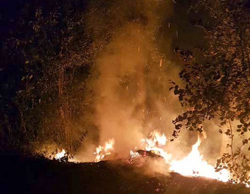 Nchtlicher Flchenbrand in der Hammer Ahornstrae: Die Flammen waren weithin zu sehen. (Foto: kk)