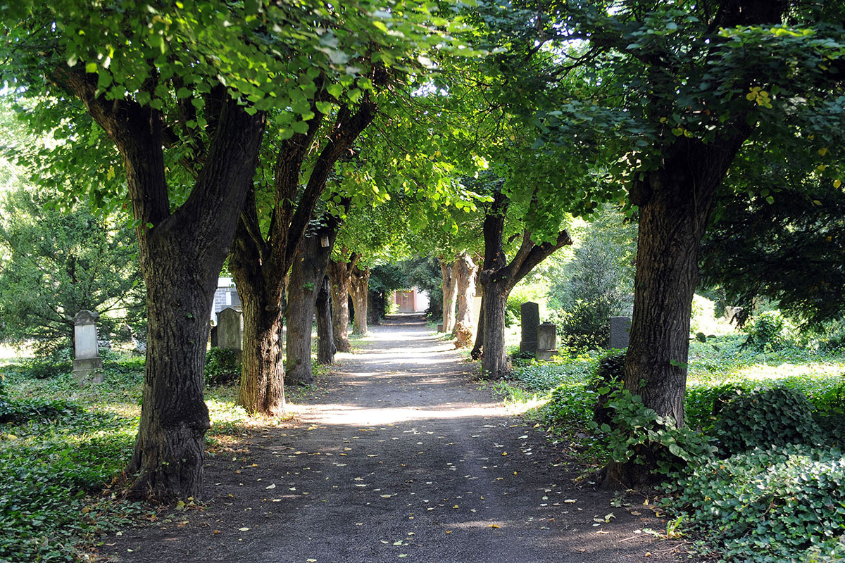 Foto: Stadt Neuwied